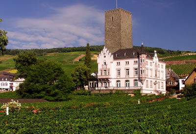 Sídlo a vinohrady vinařstí Carl Jung v městečku Rudesheim am Rhein